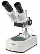 Novex AP5 Stereo Microscope