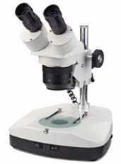 Novex AR Stereo Microscope
