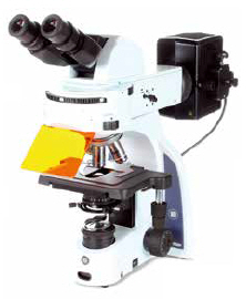 Euromex iScope flourescence microscope for life scienes