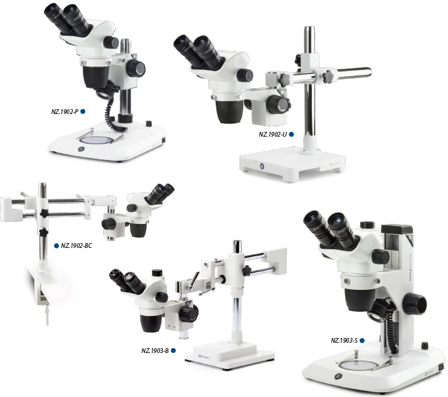 Euromex NexiusZoom Stereo Microscopes