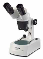 Novex P20 Stereo Microscopes